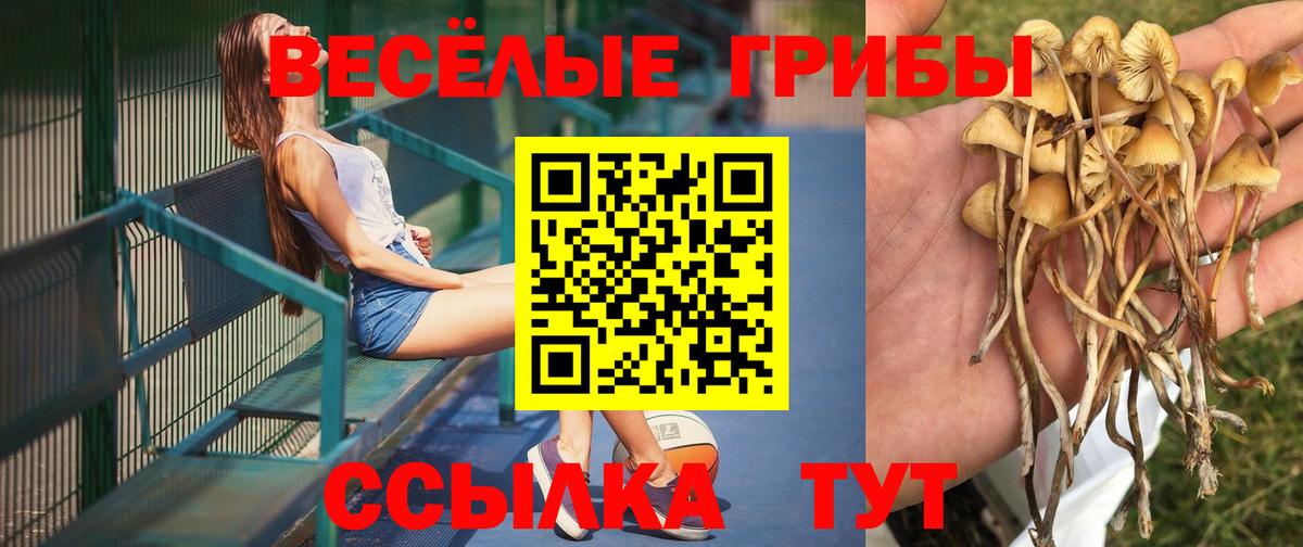 Калининград  Галлюциногенные грибы прущие грибы  Вход с VPN  Галлюциногенные грибы MAGIC MUSHROOMS 