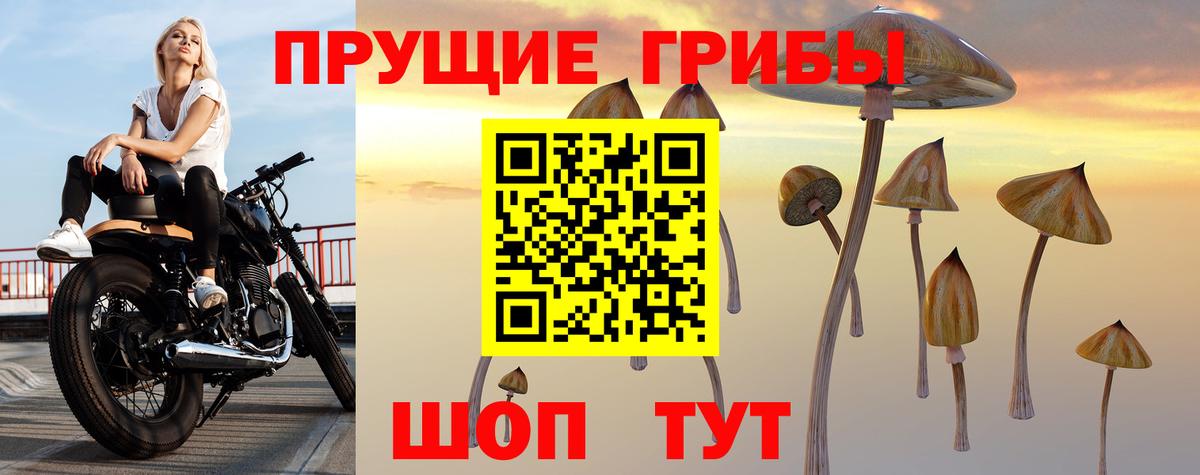 Галлюциногенные грибы ЛСД Калининград