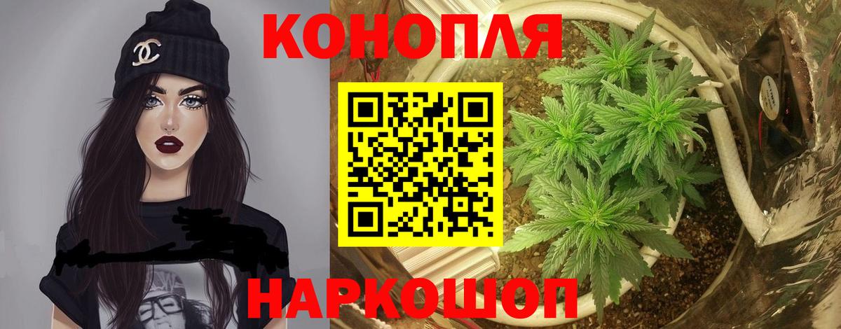Конопля SATIVA & INDICA Калининград
